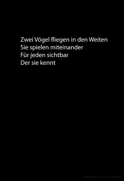 102_Vole_TEXT_Tombrink