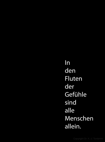 115_Zur Schau gestellt_TEXT_Tombrink