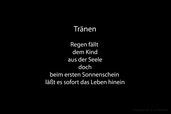 189_Das Seehundfell0001_TEXT_Tombrink