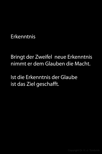 210_Das Gesicht einer Betruegerin_TEXT_Tombrink