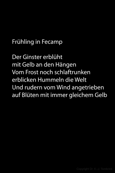 230_Die Diva0001_Text_Tombrink