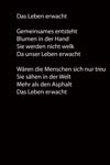 063_La Naissance 02_TEXT_Tombrink