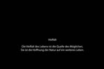 151_Der Frosch0001_TEXT_Tombrink
