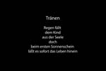 189_Das Seehundfell0001_TEXT_Tombrink
