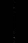 197_Florale Strutur0001_TEXT_Tombrink