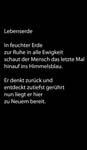 216_Der Zwilling_TEXT_Tombrink